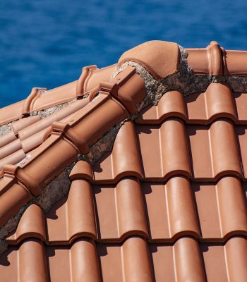 roof, roofing, house-5503202.jpg